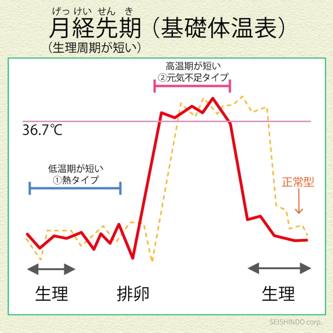 津田沼で生理周期が短い・月経先期が気になる方へ｜漢方で体質からととのえる考え方