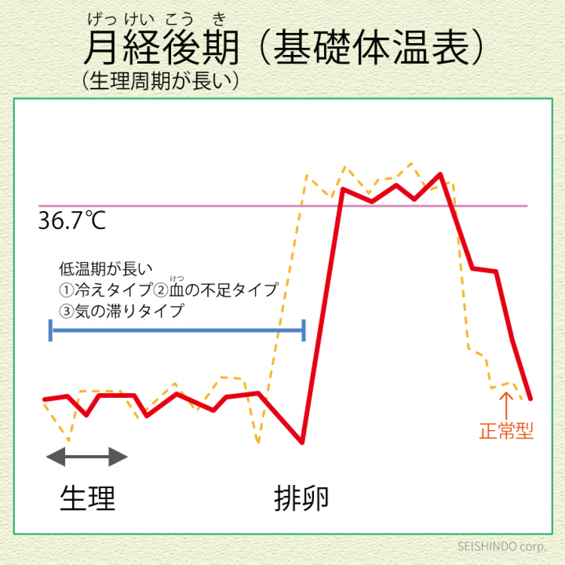 津田沼で生理が遅れがちな方へ　月経後期と基礎体温・漢方ケアの考え方