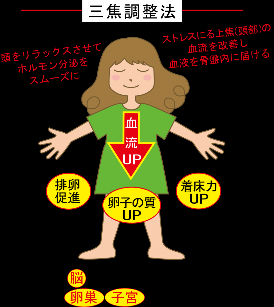 体のバランスを整えて妊娠力を高める「三焦調整法」