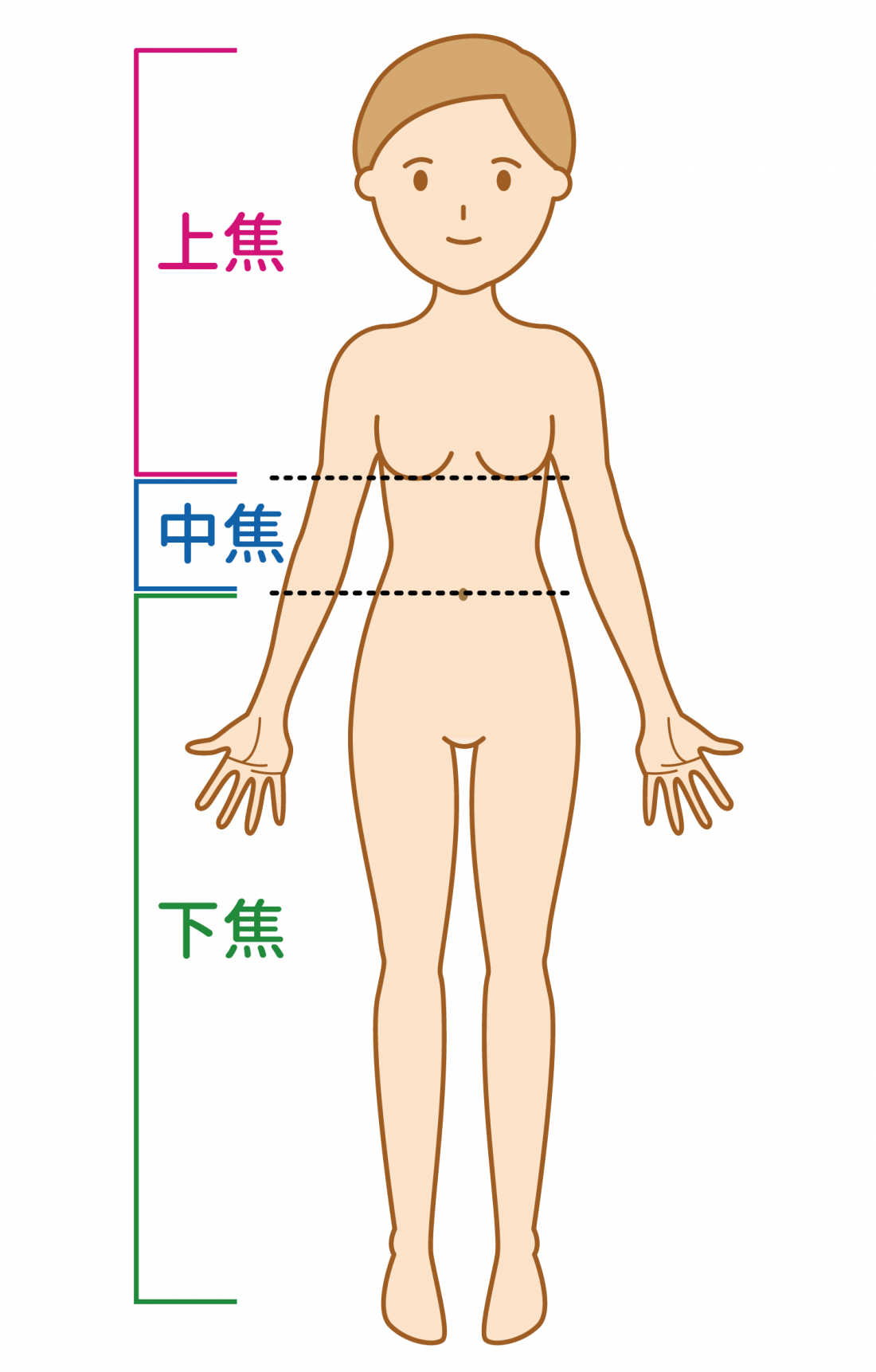 体のバランスを整えて妊娠力を高める「三焦調整法」