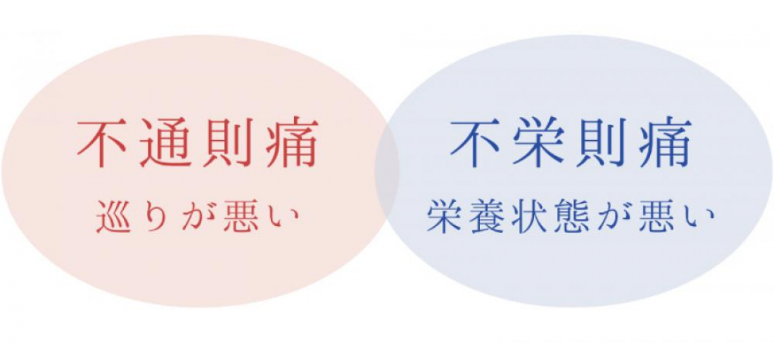 【漢方薬剤師が解説】中医学で紐解く「痛みの正体」とタイプ別ケア