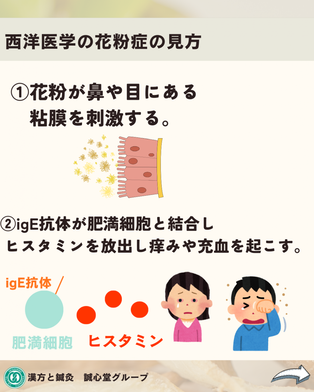 花粉症の漢方薬ってどんなもの？