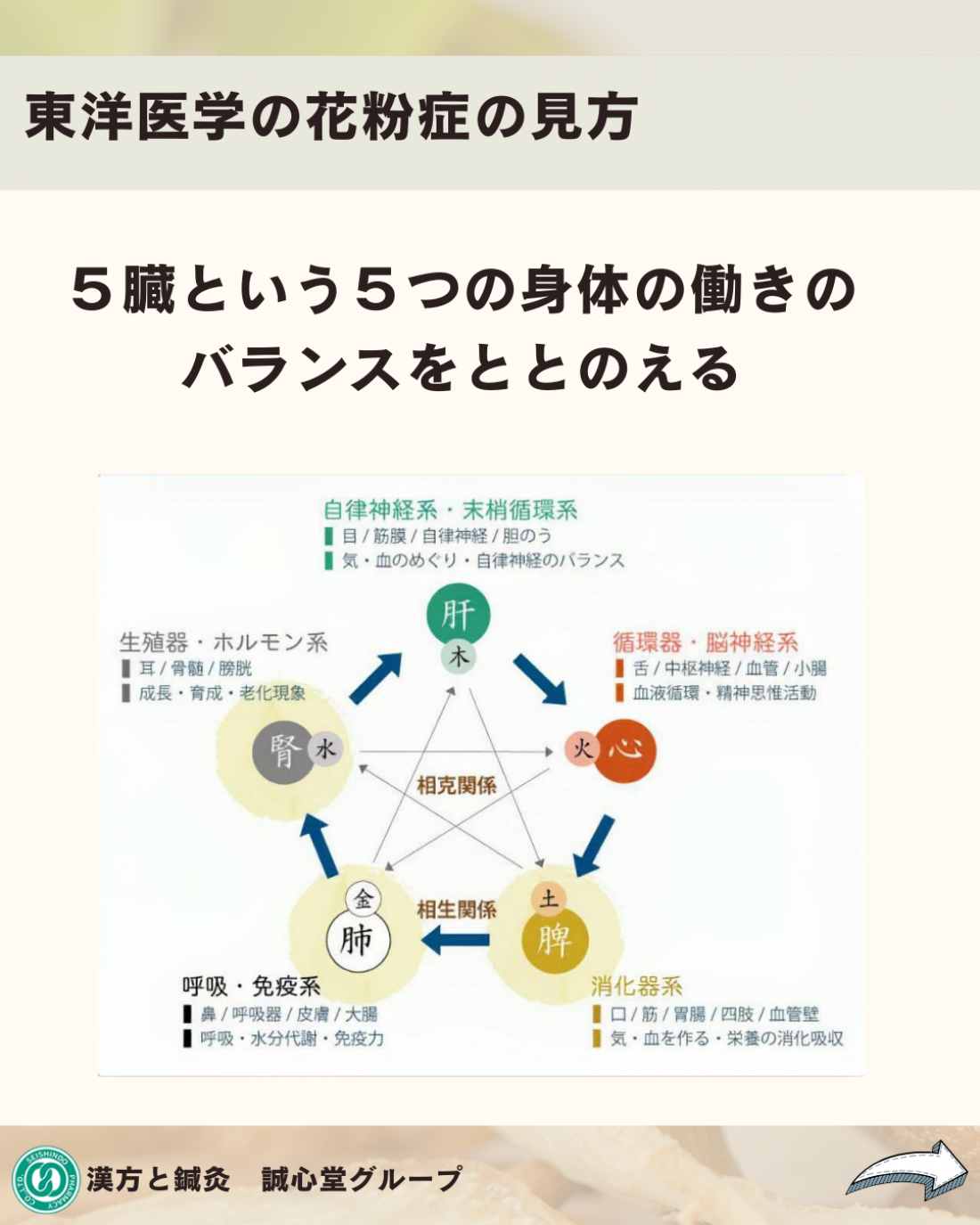 花粉症の漢方薬ってどんなもの？