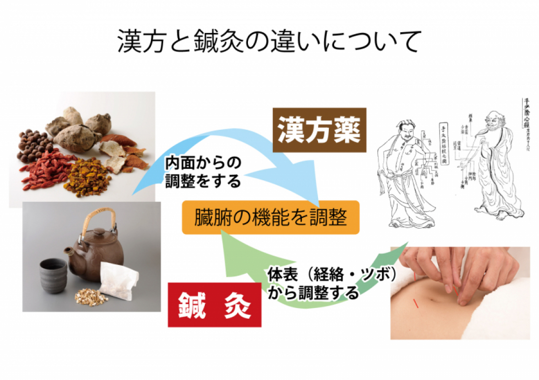 漢方×鍼灸の相乗効果　　「二刀流」で心身を整える