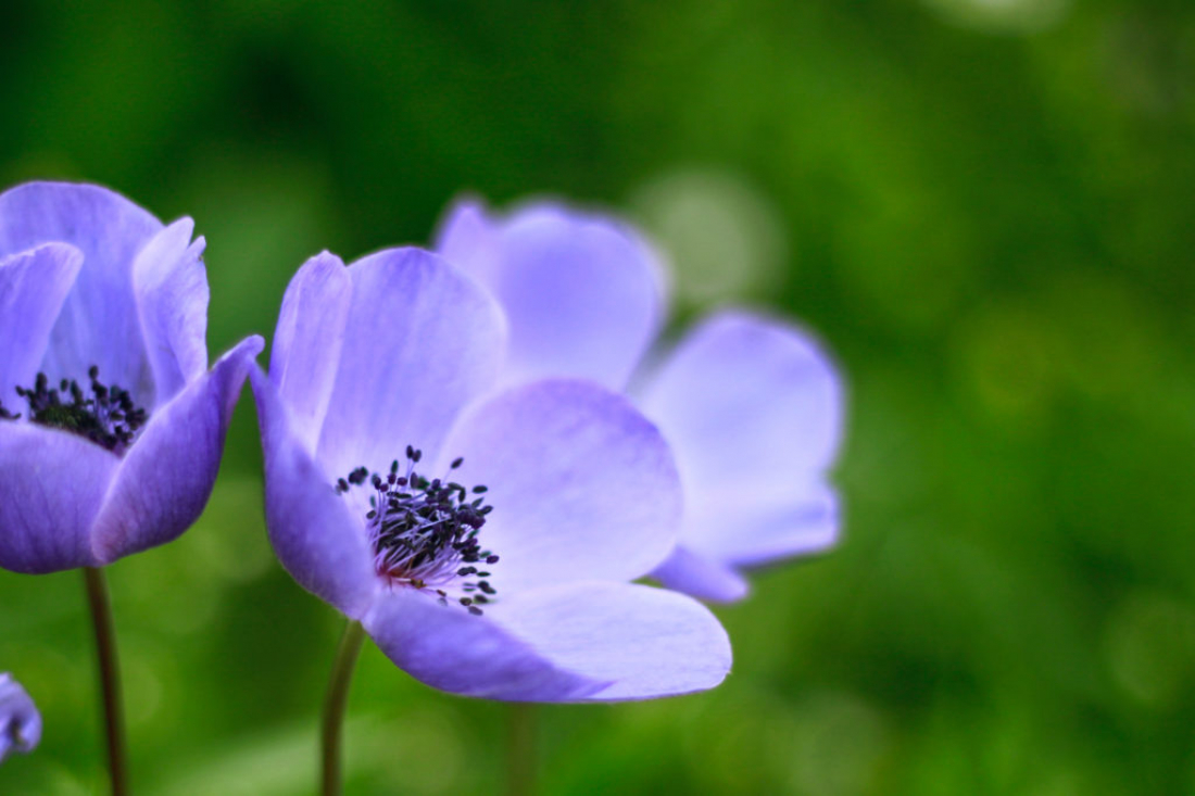 予約状況のお知らせ《4/12~4/26》