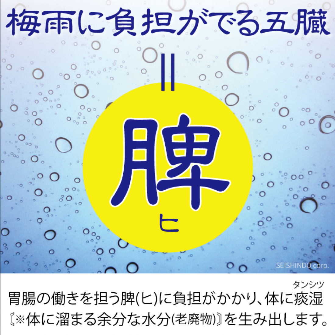 梅雨の不調を乗り切るために鍼灸での早めの身体作り【湿邪対策】