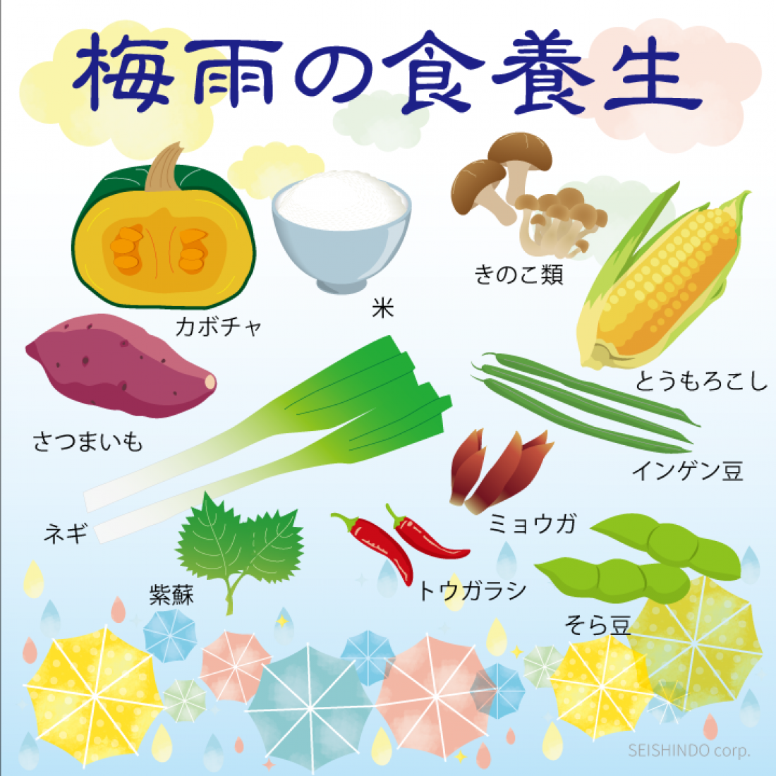 梅雨の不調を乗り切るために鍼灸での早めの身体作り【湿邪対策】