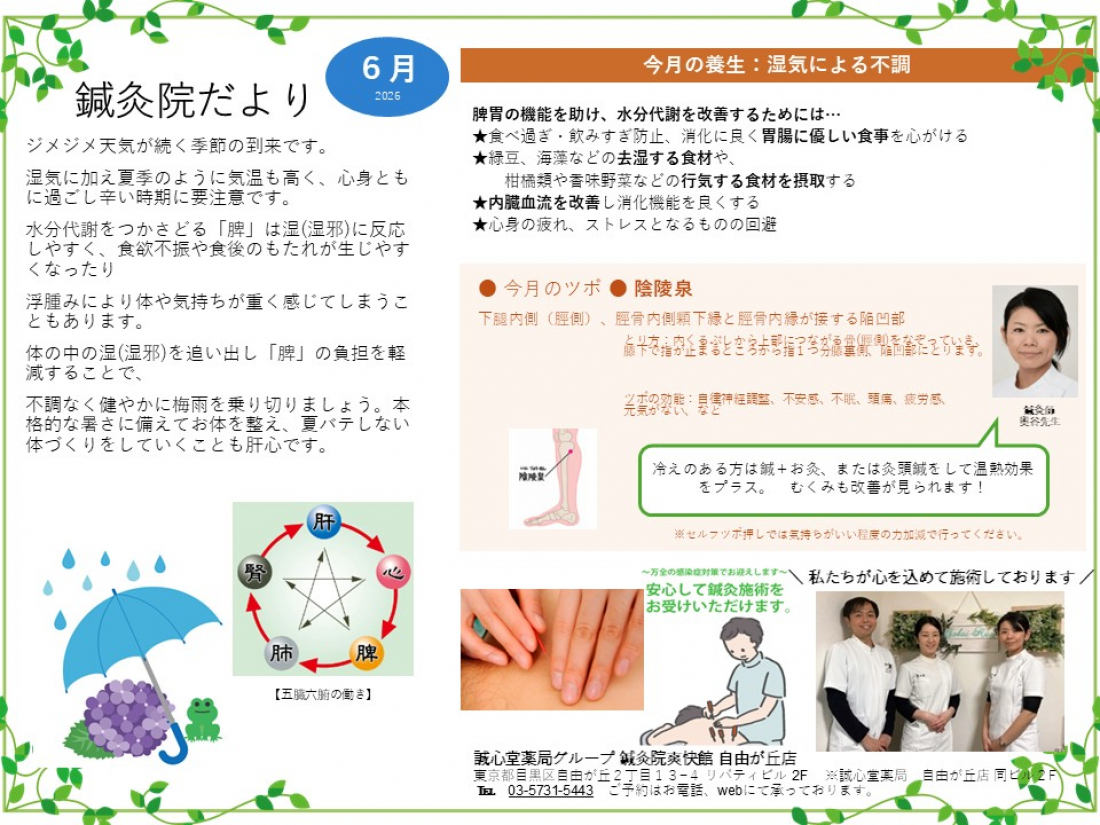 鍼灸院だより2026年6月　湿気による不調　～脾の扶正～