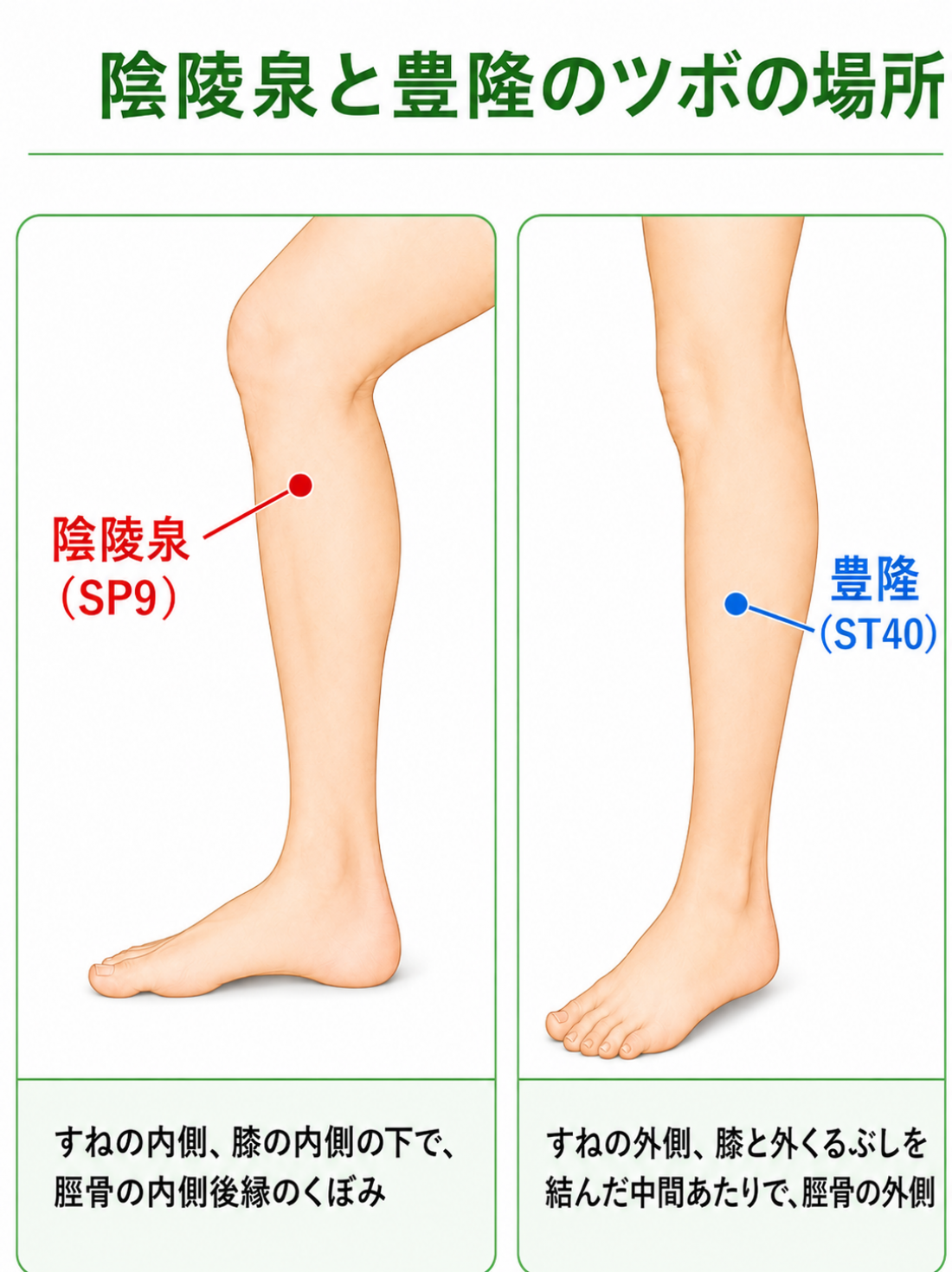 鍼灸と湿気ケア【コラム】