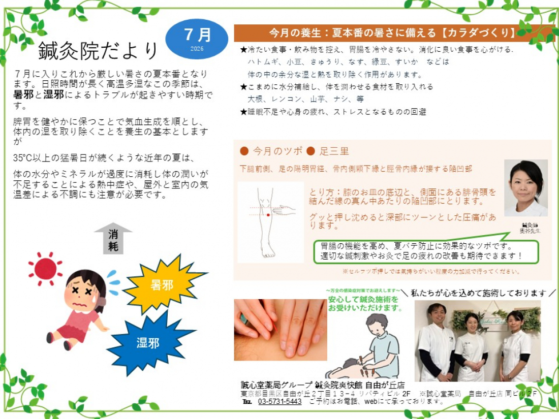 鍼灸院だより2026年7月　～夏本番の暑さに備える【カラダづくり】～