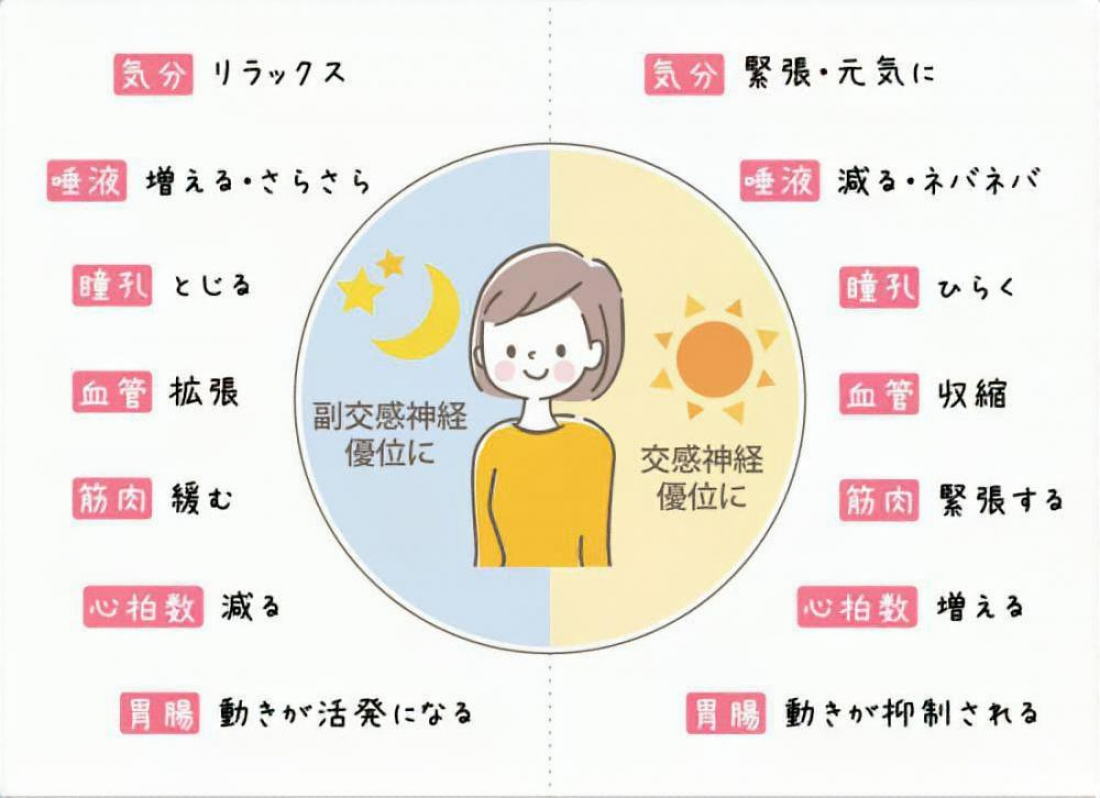 自律神経の乱れと「肝」