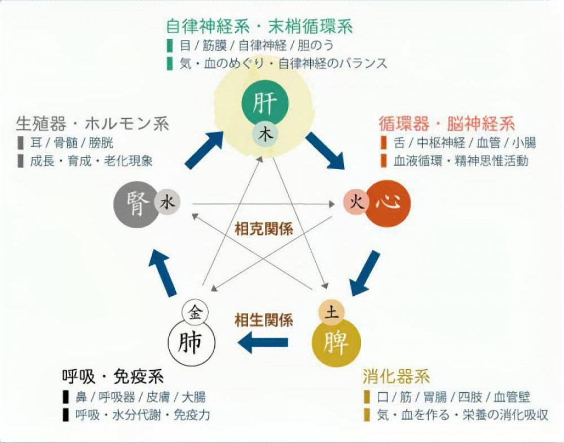 自律神経の乱れと「肝」