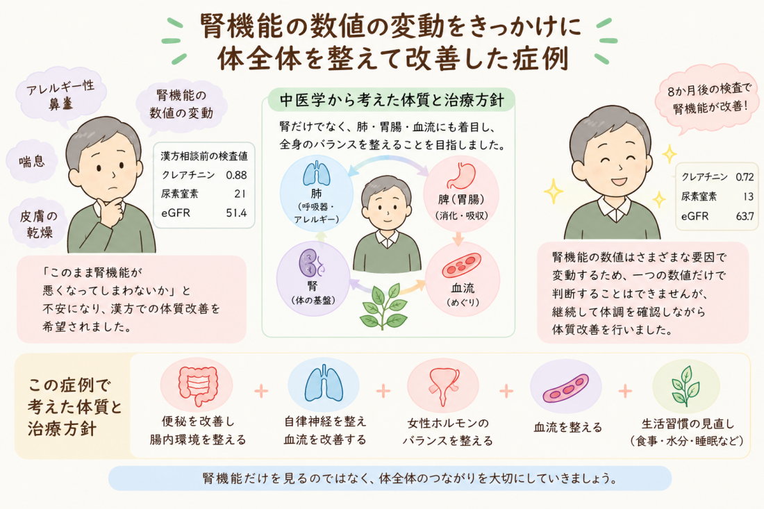 【津田沼・習志野市で漢方相談】腎機能の数値が気になる方へ|体質から見直す漢方と生活養生
