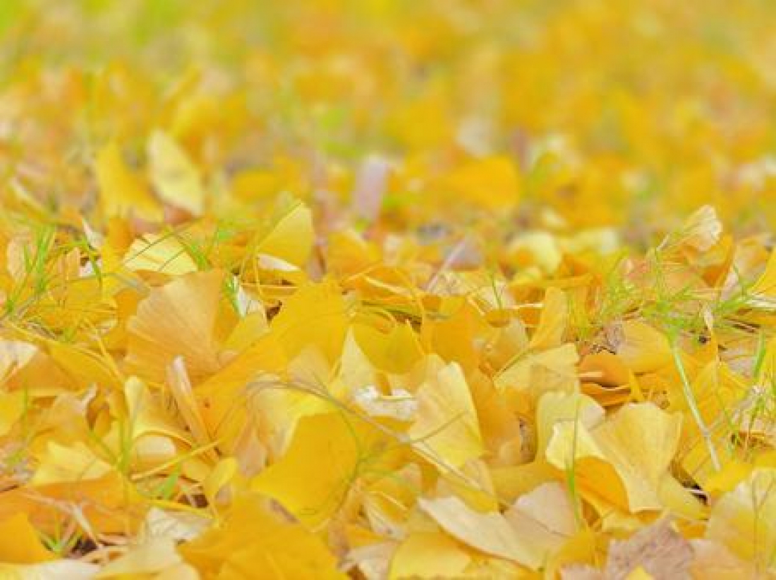 予約状況のお知らせ《10/24～11/7》