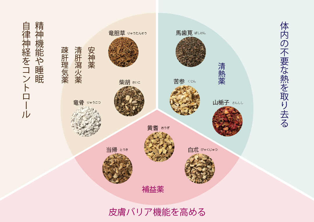 皮膚疾患でよく用いられる漢方