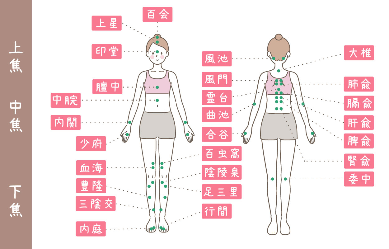 鍼灸でよく使用されるツボ