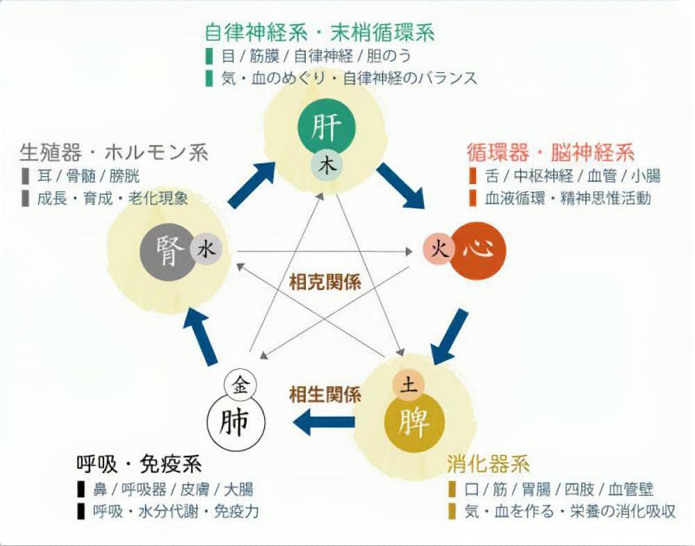 pms に 効く 漢方