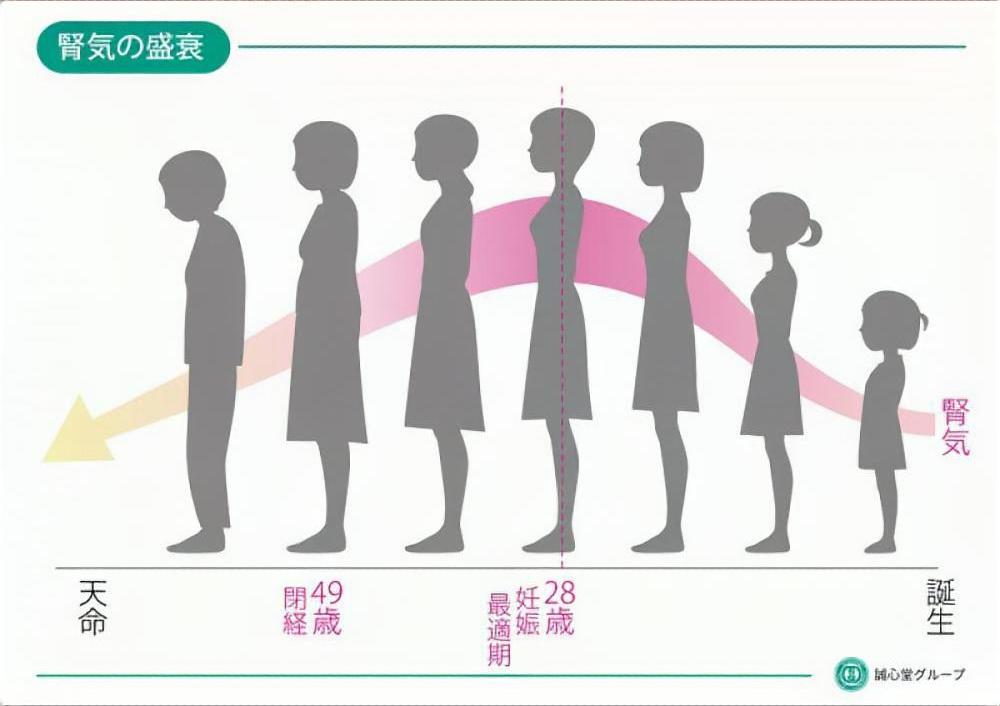 卵巣機能低下症