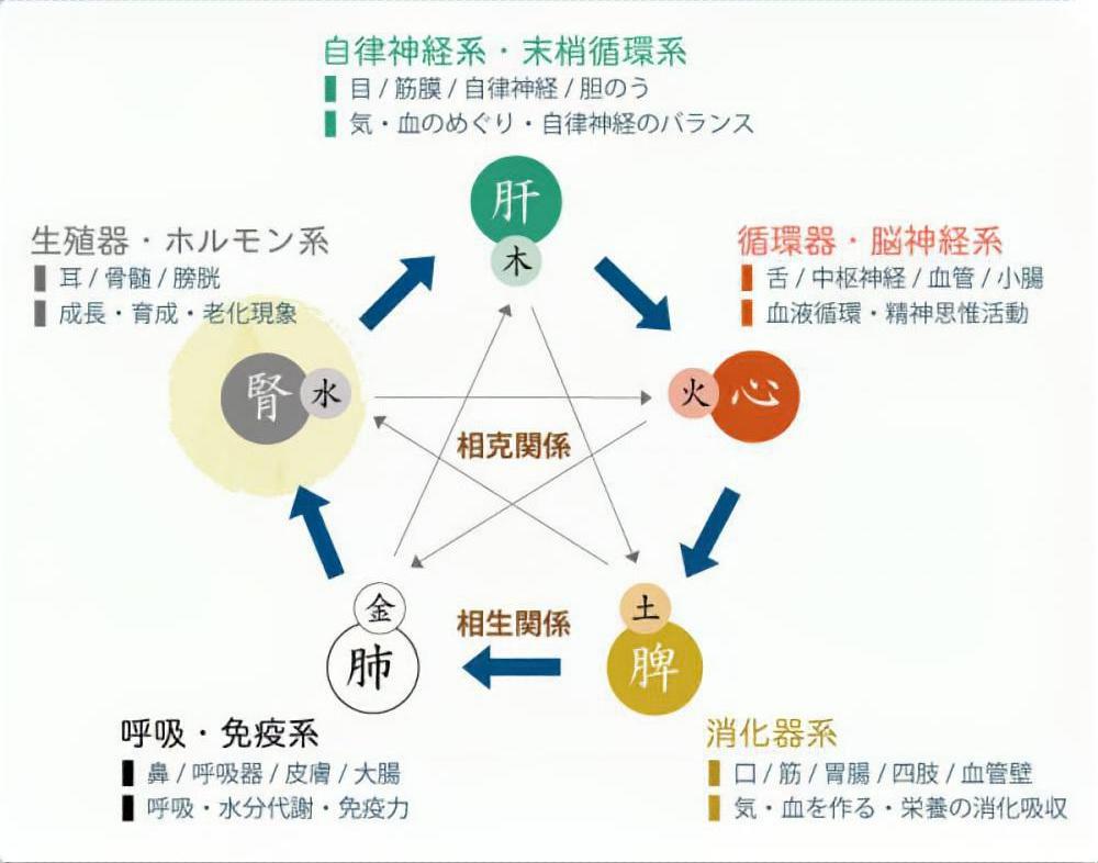 PCOSとは何ですか?