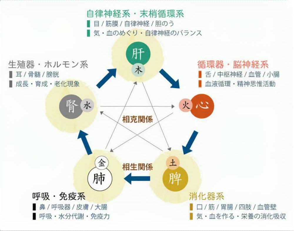 ニキビ 病名 症状一覧 漢方と鍼灸 株式会社誠心堂薬局