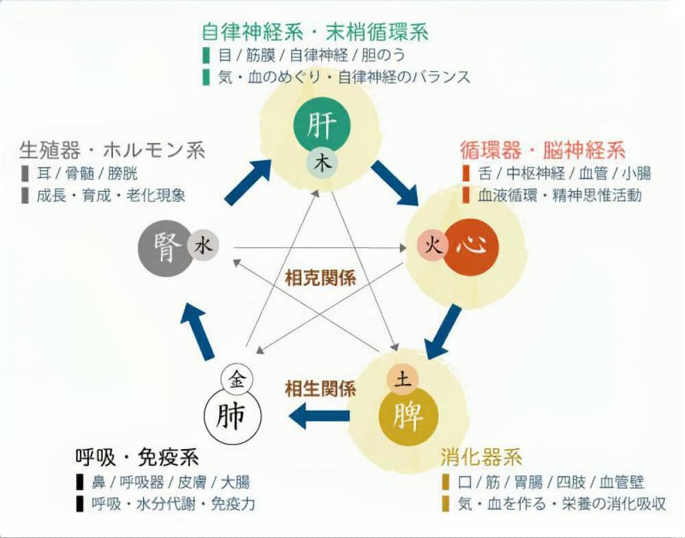 不眠症 病名 症状一覧 漢方と鍼灸 株式会社誠心堂薬局