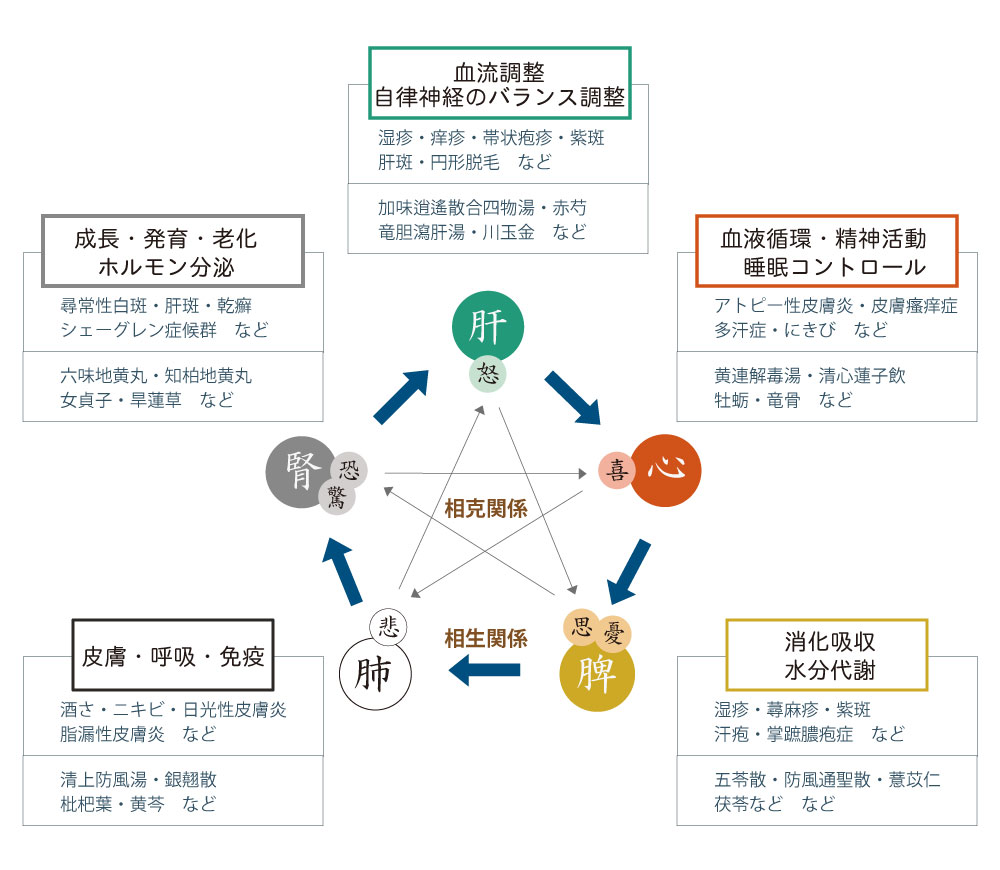 五臓図