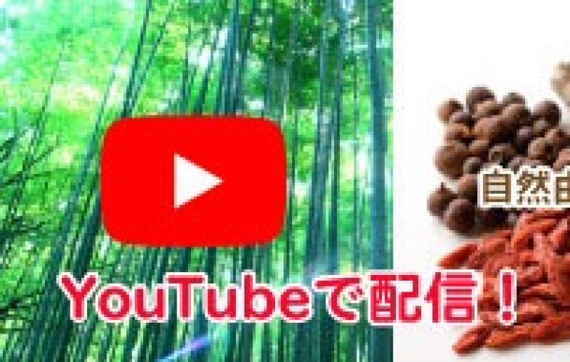 中医学の知恵を動画で配信！西野裕一先生の漢方・鍼灸チャンネル
